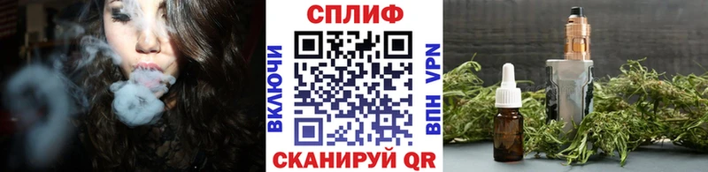Шишки марихуана MAZAR  mega маркетплейс  Рошаль  купить закладку 